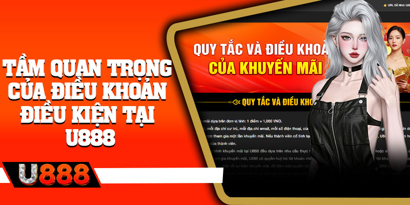 Tầm quan trọng của điều khoản điều kiện tại U888